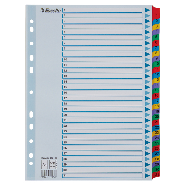 Esselte Ordnerregister DIN A4 Vollformat 1-31 farbig 31-teilig, 1 Satz