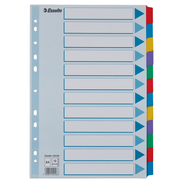 Esselte Ordnerregister DIN A4 Vollformat blanko farbig 12-teilig, 1 Satz