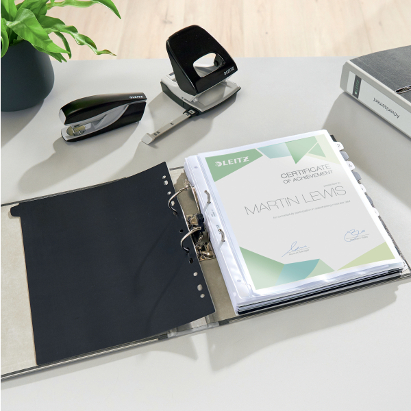 LEITZ 1050 Ordner lichtgrau marmoriert Karton 5,2 cm DIN A4, 1 St.