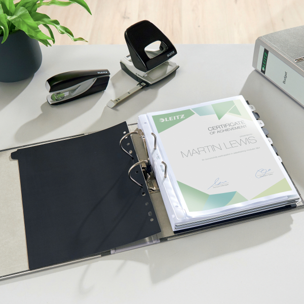 LEITZ 1080 Ordner lichtgrau marmoriert Karton 8,0 cm DIN A4, 1 St.