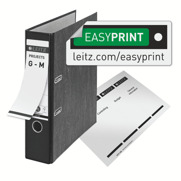 LEITZ 1080 Ordner lichtgrau marmoriert Karton 8,0 cm DIN A4, 1 St.