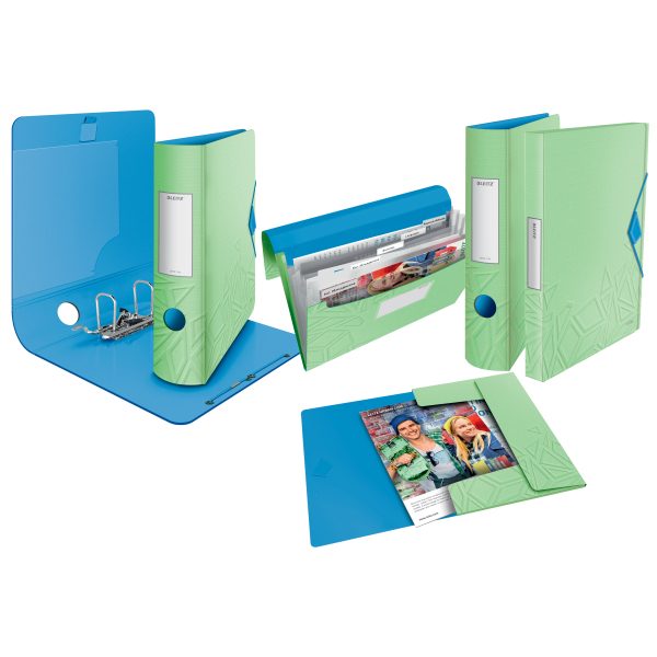LEITZ Active Urban Chic Ordner grün Kunststoff 6,5 cm DIN A4, 1 St.