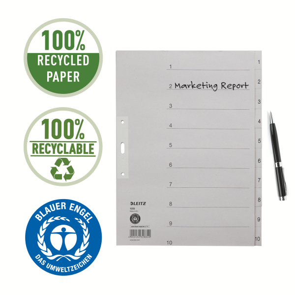 LEITZ Ordnerregister DIN A4+ Vollformat, Überbreite 1-10 grau 10-teilig, 1 Satz