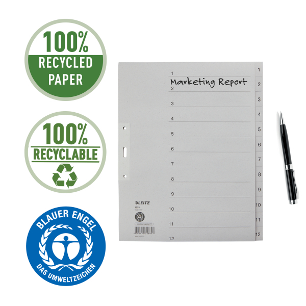LEITZ Ordnerregister DIN A4+ Vollformat, Überbreite 1-12 grau 12-teilig, 1 Satz