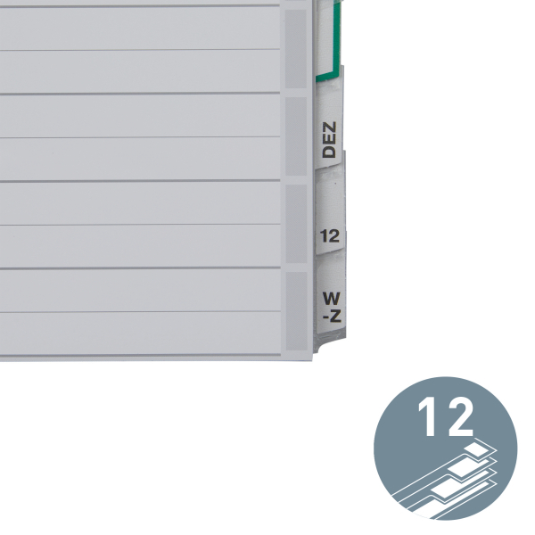 LEITZ Ordnerregister DIN A4+ Vollformat, Überbreite blanko grau 12-teilig, 1 Satz