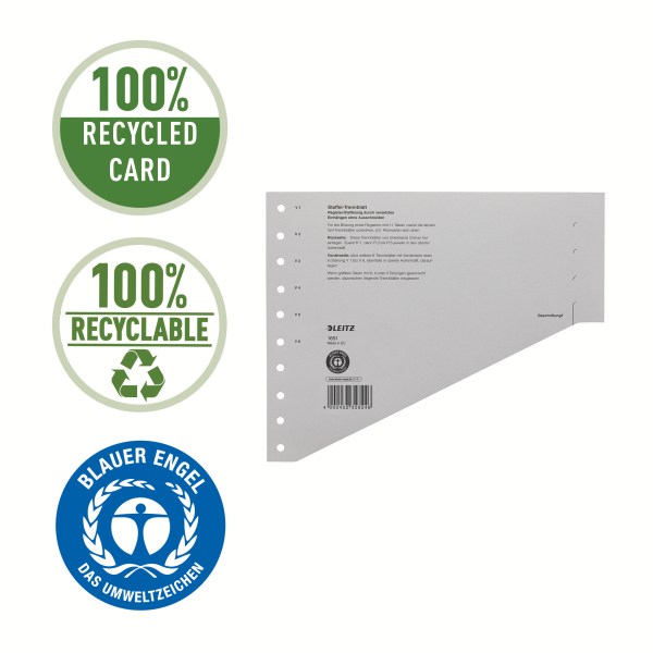 LEITZ Trennblätter 1651 DIN A4 blanko grau, 200 g/qm, 100 St.