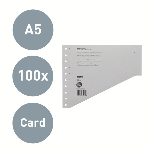 LEITZ Trennblätter 1651 DIN A4 blanko grau, 200 g/qm, 100 St.