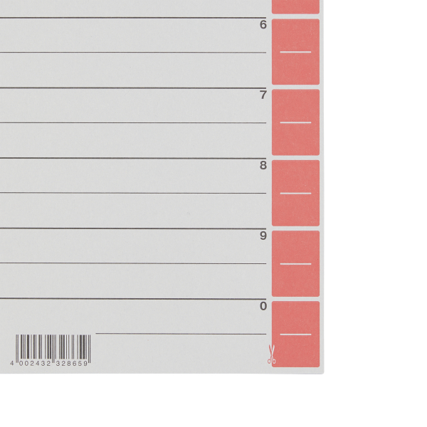 LEITZ Trennblätter 1652 DIN A4 1-0 rot, 230 g/qm, 25 St.