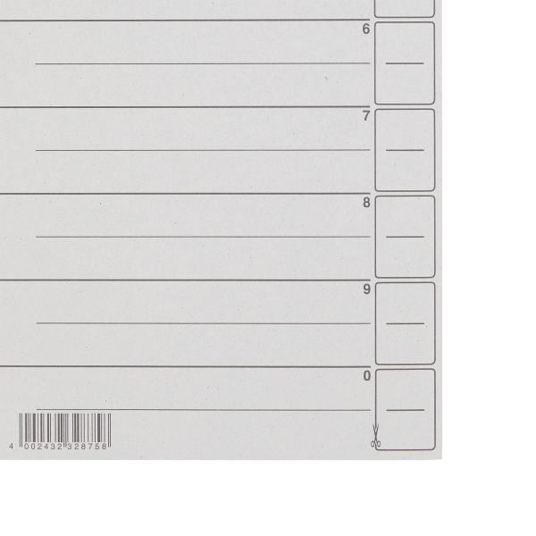 LEITZ Trennblätter 1654 DIN A4 1-0 grau, 200 g/qm, 100 St.