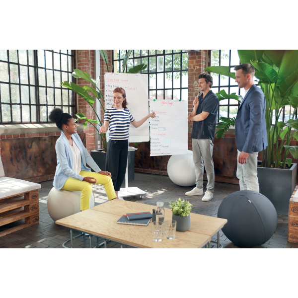nobo Flipchart Move&Meet 1915644
