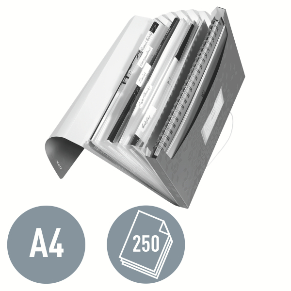 LEITZ Fächermappe WOW 4589 6 Fächer grün, 1 St.