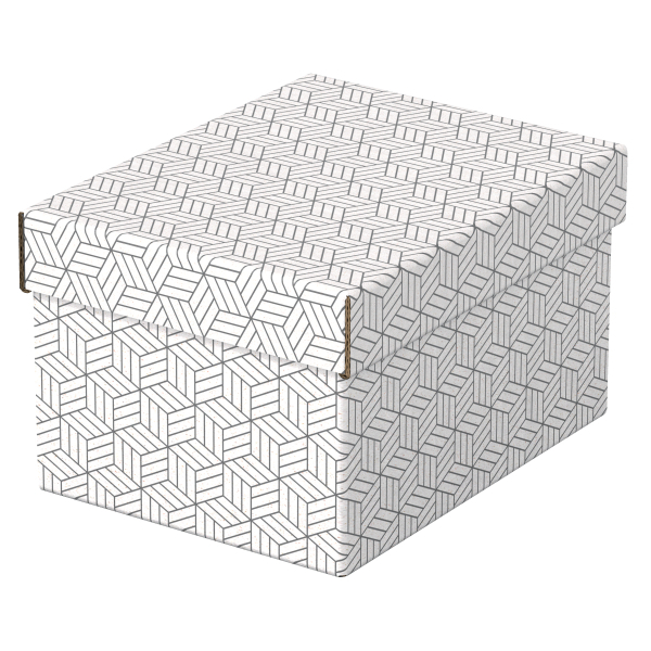 Esselte Home Aufbewahrungsboxen 6,5 l weiß 20,0 x 25,5 x 15,0 cm, 3 St.