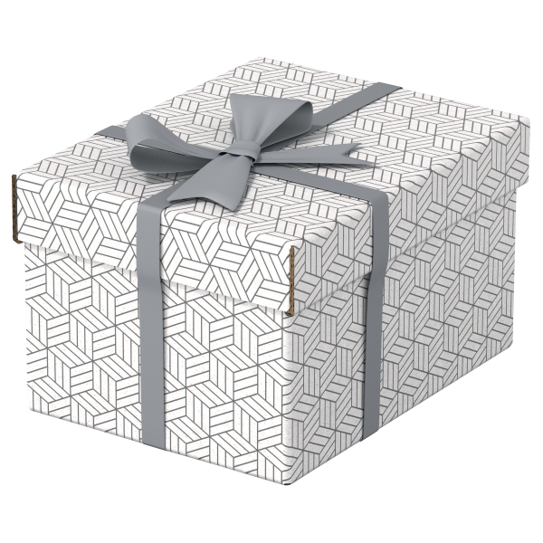 Esselte Home Aufbewahrungsboxen 6,5 l weiß 20,0 x 25,5 x 15,0 cm, 3 St.