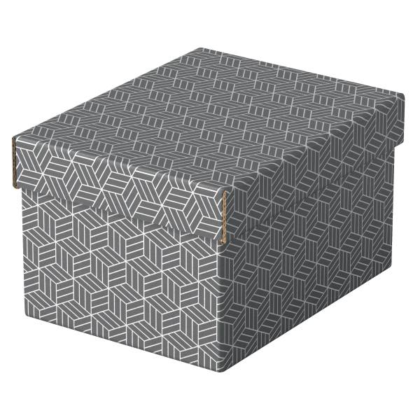Esselte Home Aufbewahrungsboxen 6,5 l grau 20,0 x 25,5 x 15,0 cm, 3 St.