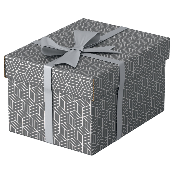 Esselte Home Aufbewahrungsboxen 6,5 l grau 20,0 x 25,5 x 15,0 cm, 3 St.