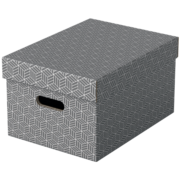 Esselte Home Aufbewahrungsboxen 17,5 l grau 26,5 x 36,5 x 20,5 cm, 3 St.