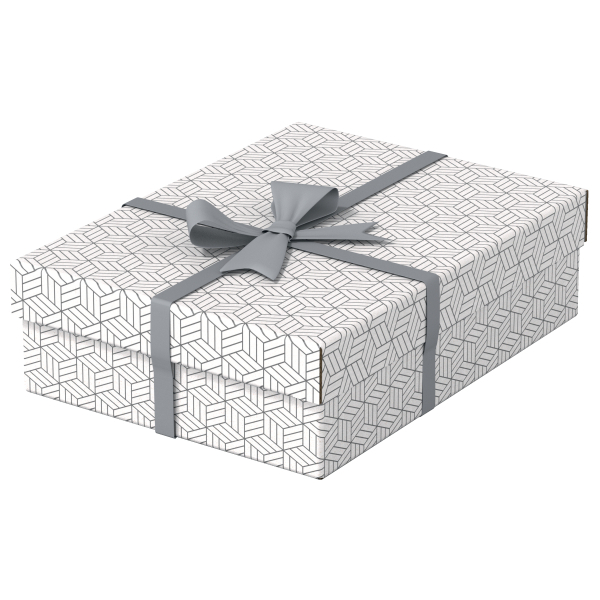 Esselte Home Aufbewahrungsboxen 8,0 l weiß 26,5 x 36,0 x 10,0 cm, 3 St.