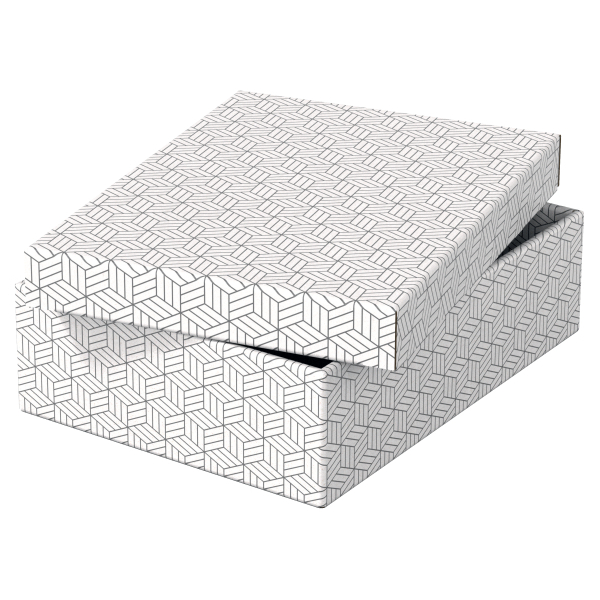 Esselte Home Aufbewahrungsboxen 8,0 l weiß 26,5 x 36,0 x 10,0 cm, 3 St.