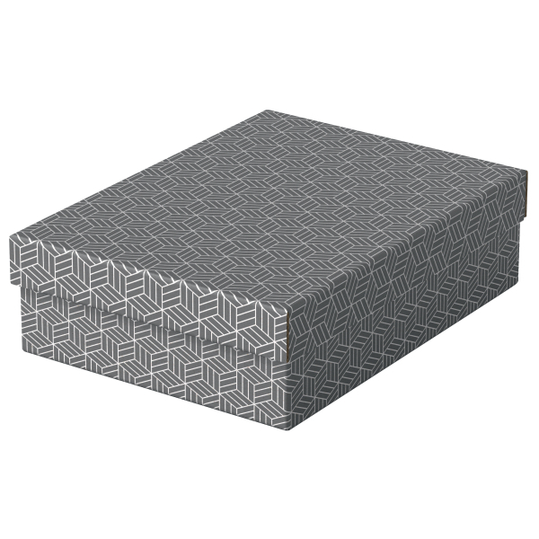 Esselte Home Aufbewahrungsboxen 8,0 l grau 26,5 x 36,0 x 10,0 cm, 3 St.