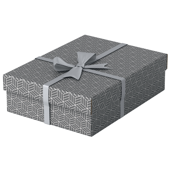 Esselte Home Aufbewahrungsboxen 8,0 l grau 26,5 x 36,0 x 10,0 cm, 3 St.