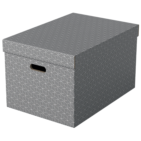 Esselte Home Aufbewahrungsboxen 50,0 l grau 35,5 x 51,0 x 30,5 cm, 3 St.