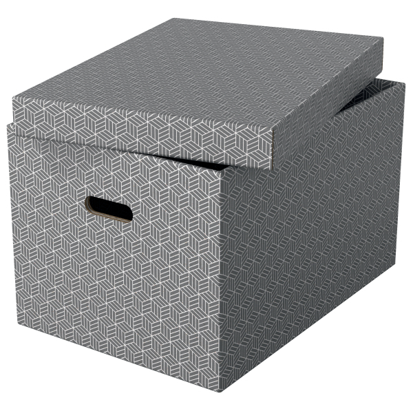 Esselte Home Aufbewahrungsboxen 50,0 l grau 35,5 x 51,0 x 30,5 cm, 3 St.