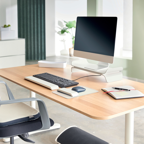 LEITZ Mousepad mit Handgelenkauflage Ergo hellgrau