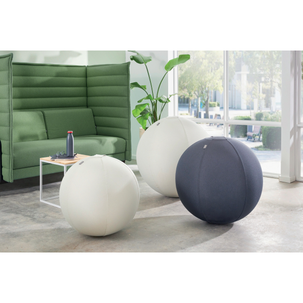 LEITZ Ergo Active Sitzball hellgrau 55,0 cm