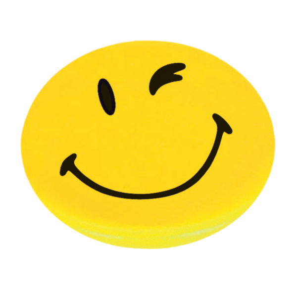 FRANKEN Happy Magnets Magnete Motiv, Kunststoff Ø 2,0 cm, 8 St.