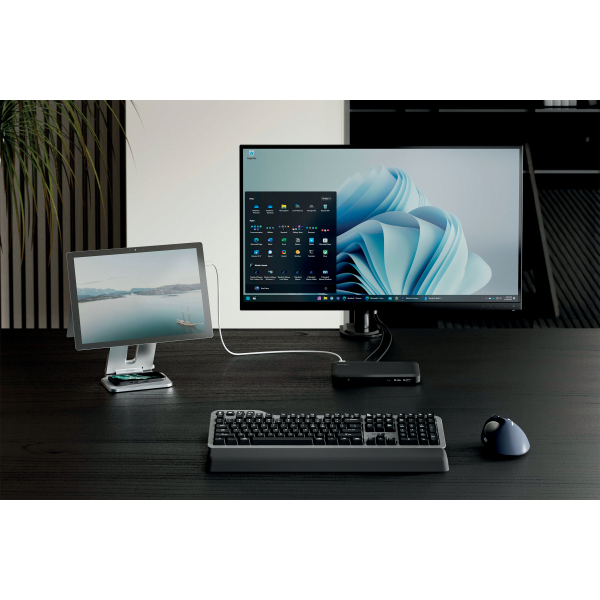 Kensington Tablet-Halterung K58277WW K58277WW silber für 1 Surface Pro oder Surface Go Modell, Tischständer